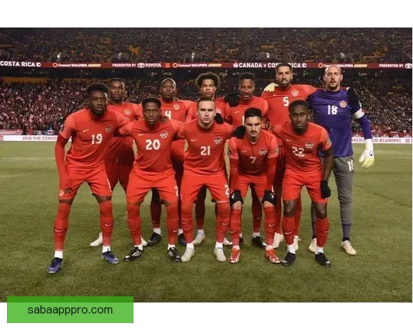 世界杯竞猜预测：如何精准分析球队表现与赛程走势，赢得更多奖金